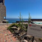 home destroyed by fire in the Palisades fire