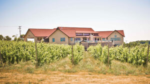 icf winery